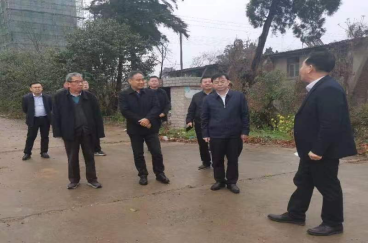 钟祥市市长杨孟富莅临中荆三迪120万吨/年磷石膏综合利用项目现场调研